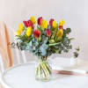 Tulipani Multicolore Online