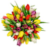 Tulips Florist Choice Bouquet Online