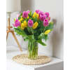 Tulips Multicolor 013 Online