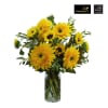 Van Gogh Sunflowers Online