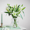 Shop Vanilla Lily Dream