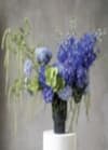Versace Flower Online