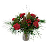 Warmth for Christmas Online