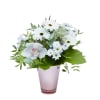 White Caress Online
