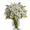 White Daisy Bouquet Online
