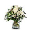 Winter-Beauty Online