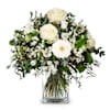 Winter-Beauty Online