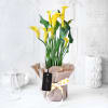 Yellow Calla Lily Potted Plant Gift Online