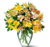 Yellow Sunshine Alstromeria Online