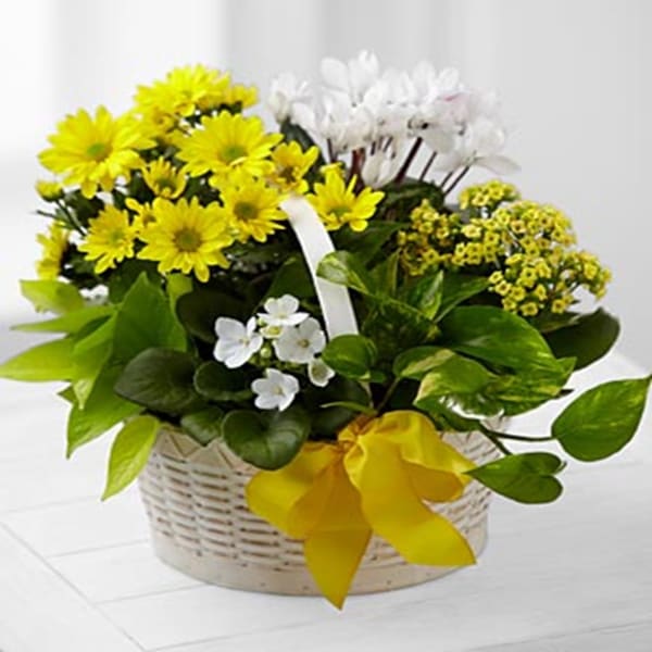 A Bit Of Sunshine Basket By FTD