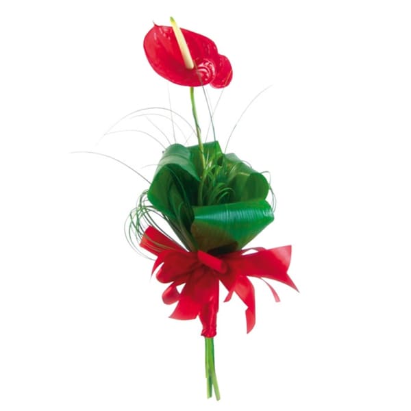 Anthurium