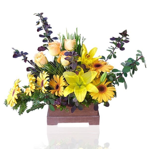 Arrangement of Cut Flowers