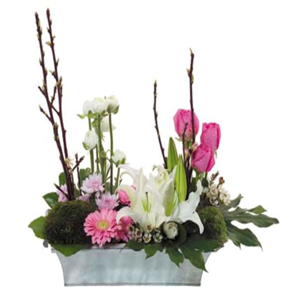 Arrangement of Cut Flowers