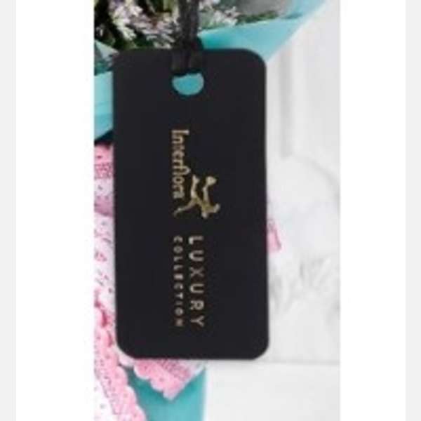 Axis Bank Luxury Tag