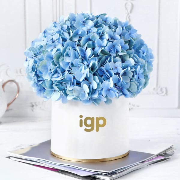 Blue Beauty Flower Box