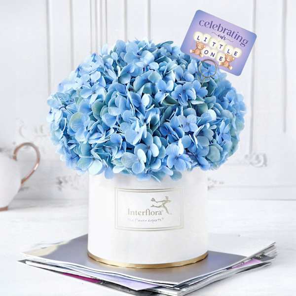 Blue Box of Heaven