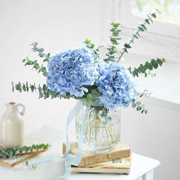 Breath of Blue