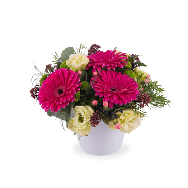 Centrepiece of Fuchsia Gerbera Daisies