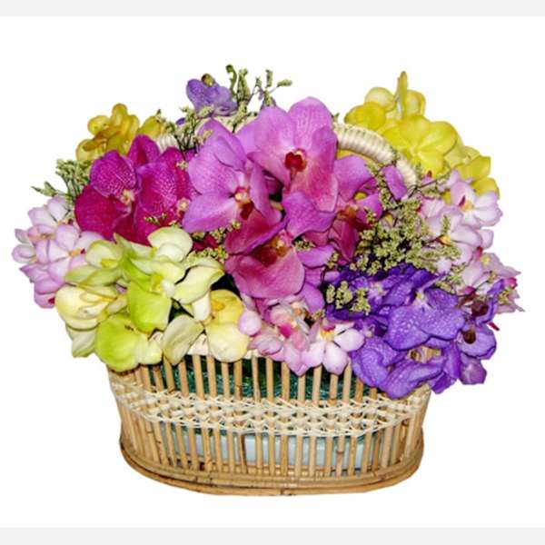 Colourful Orchids Order Flowers Online Interflora India ID1383731