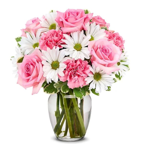 Daisy & Rose Delight