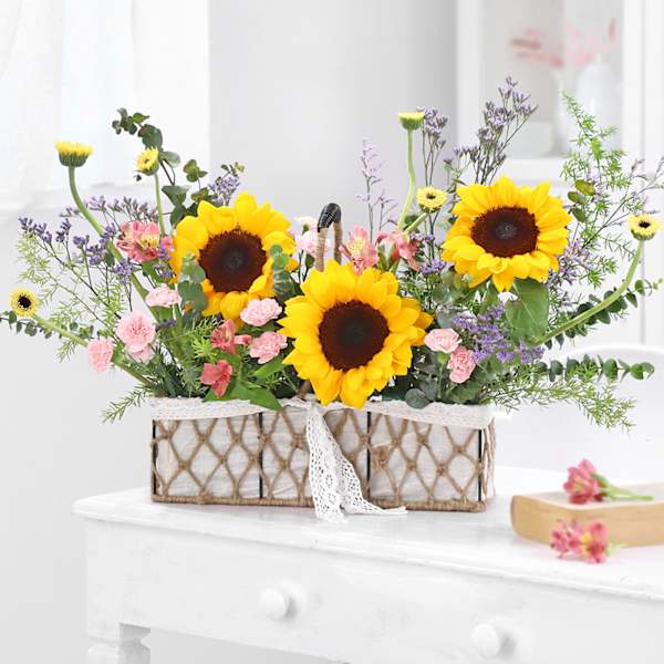 Fields of Sunshine