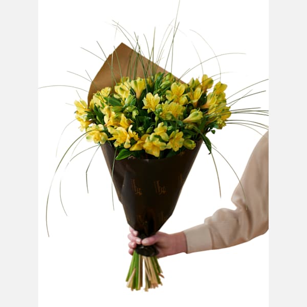 Gorgeous Yellow 240137