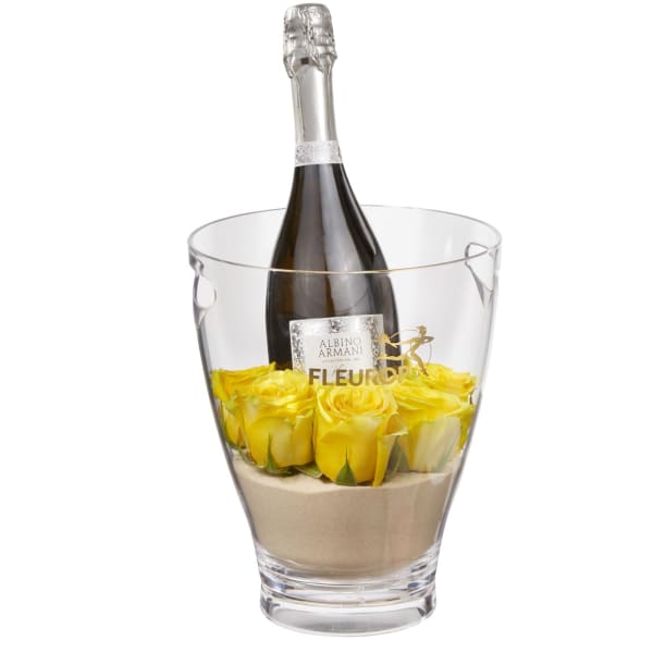 Hello Sunshine: Prosecco Albino Armani DOC 75 cl incl. ice bucket: Order  Flowers Online | Interflora India