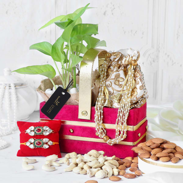 Luck and Love Plant set of 2 Rakhis Gift Hamper