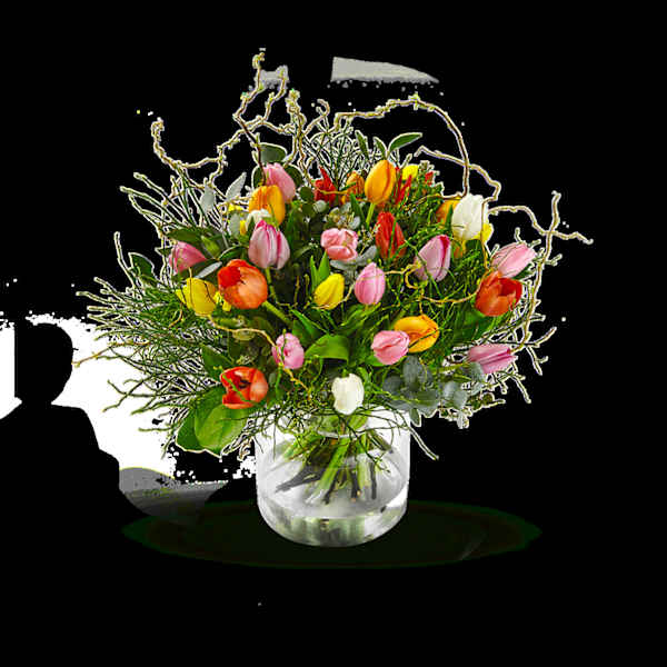 Multi Tulipa