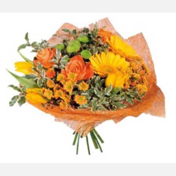 Orange Mood
