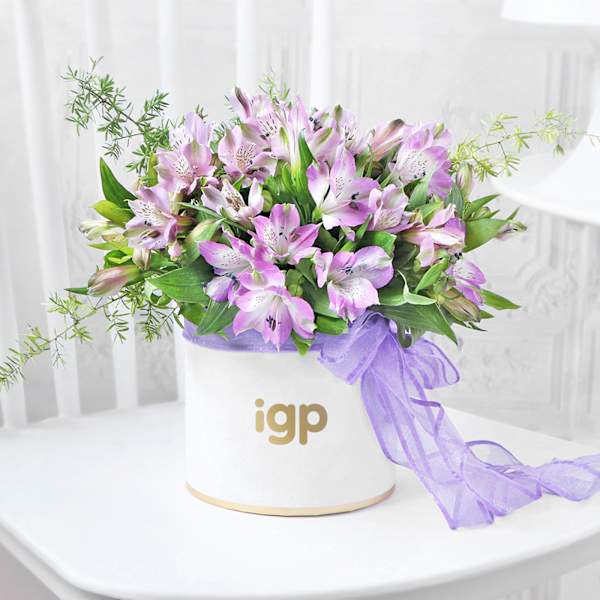 Purple Hues