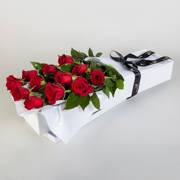 Romantic Roses