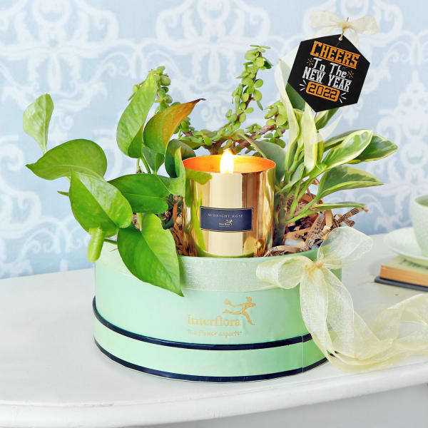 Shades of Green New Year Hamper