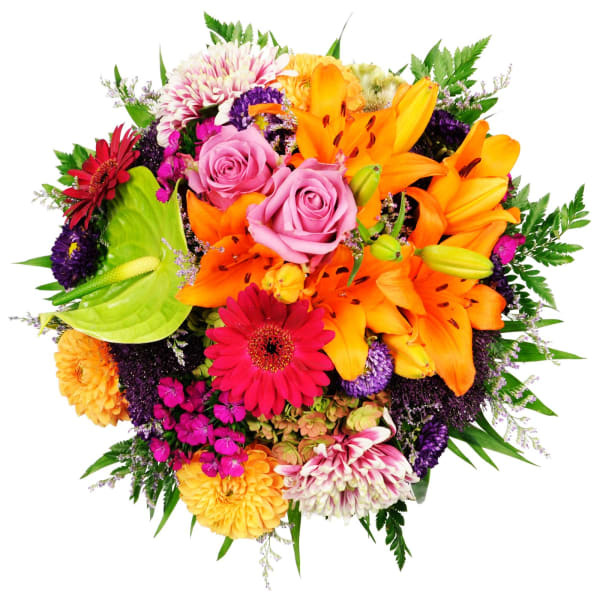 Shannyne : Order Flowers Online | Interflora India