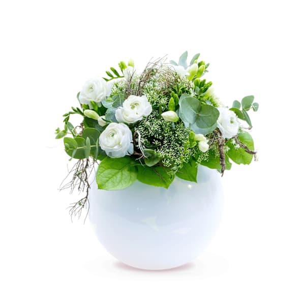 SNOW-WHITE ELEGANCE