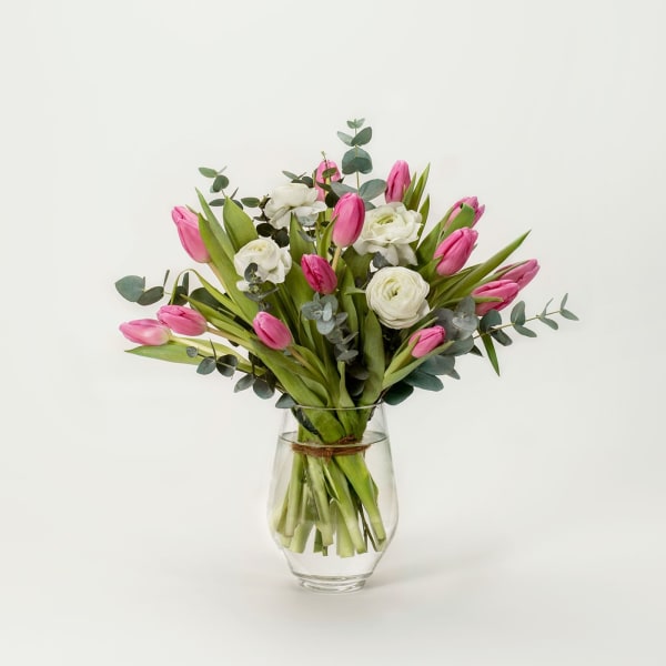 Spring Greeting
