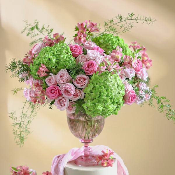 The Evergreen Blush