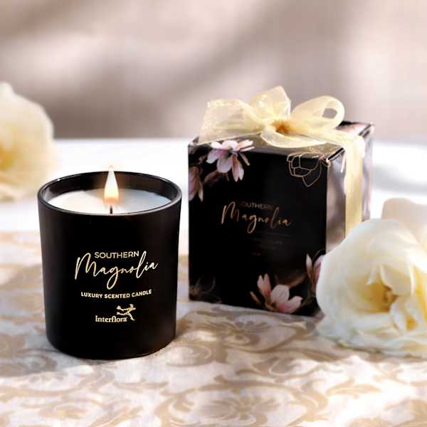 The Magnolia Glow