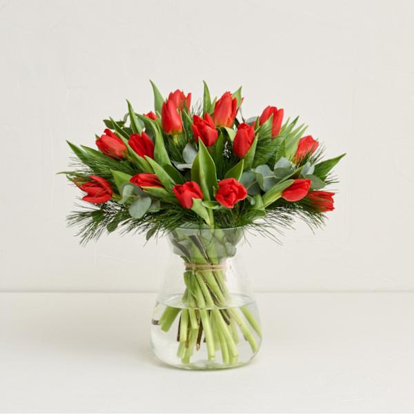 The Red Tulips