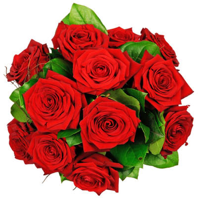 12 red roses longstemmed: Order Flowers Online | Interflora India