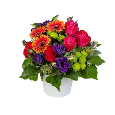 Viva Flowers: Order Flowers Online | Interflora India | ID1348031