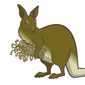 WALLABY