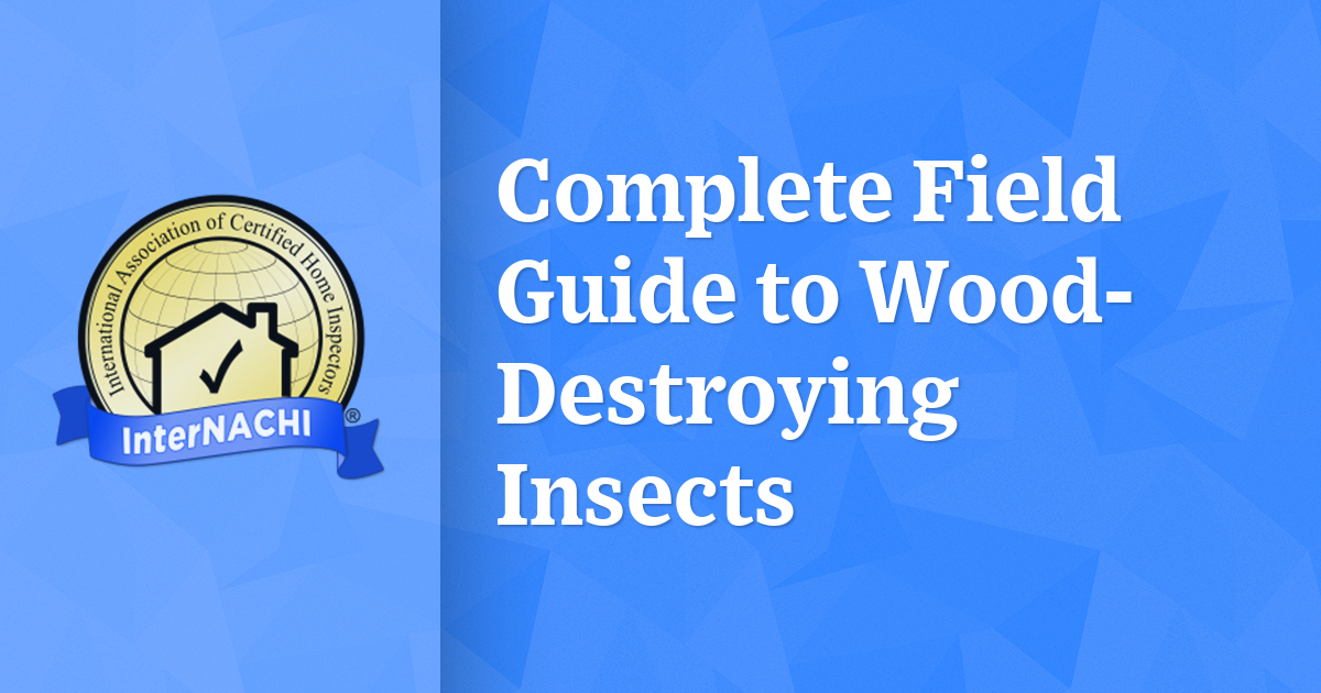 Complete Field Guide to Wood-Destroying Insects - InterNACHI®