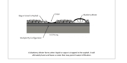 Blueberry Blister in Built-Up Roof (BUR)