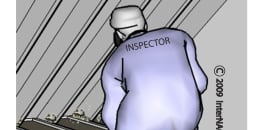 Attic Inspection