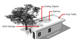 Flat Roof Defects