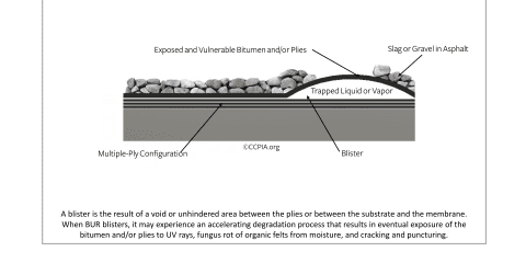 Blisters in Built-Up Roof