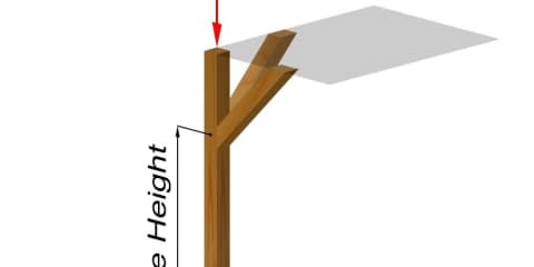 Knee Braces