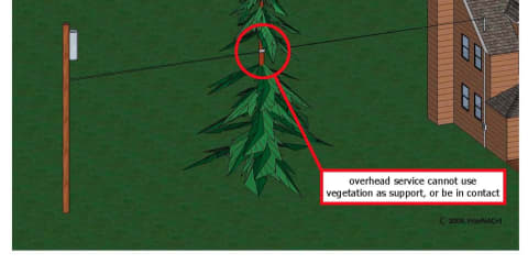 Vegetation Should Not Contact or Support Electrical Lines