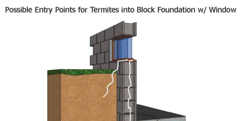 Termite Entry Through Window In Block Foundation